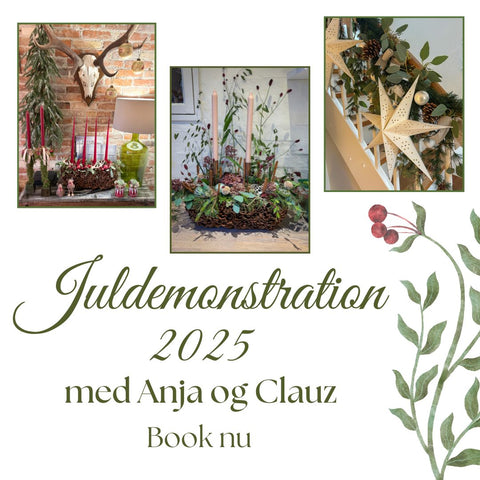 Juledemonstration - 2025