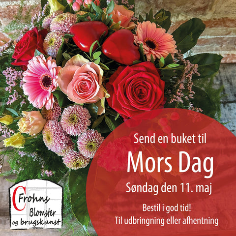 Mors dag