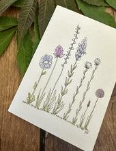 Kort - Blå vilde blomster
